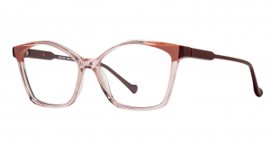 Xavier Garcia - primerek okvirja 2889