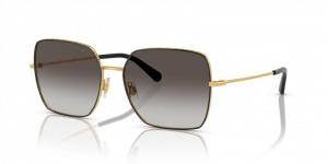 Dolce & Gabbana - primerek okvirja 2487
