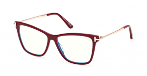 Tom Ford - primerek okvirja 2949