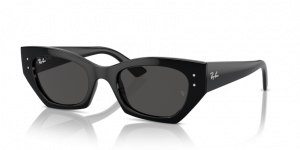 Ray Ban - primerek okvirja 2493