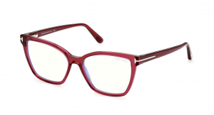 Tom Ford - primerek okvirja 3078