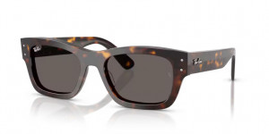 Ray Ban - primerek okvirja 2733