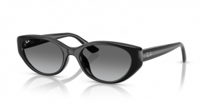 Ray Ban - primerek okvirja 2615